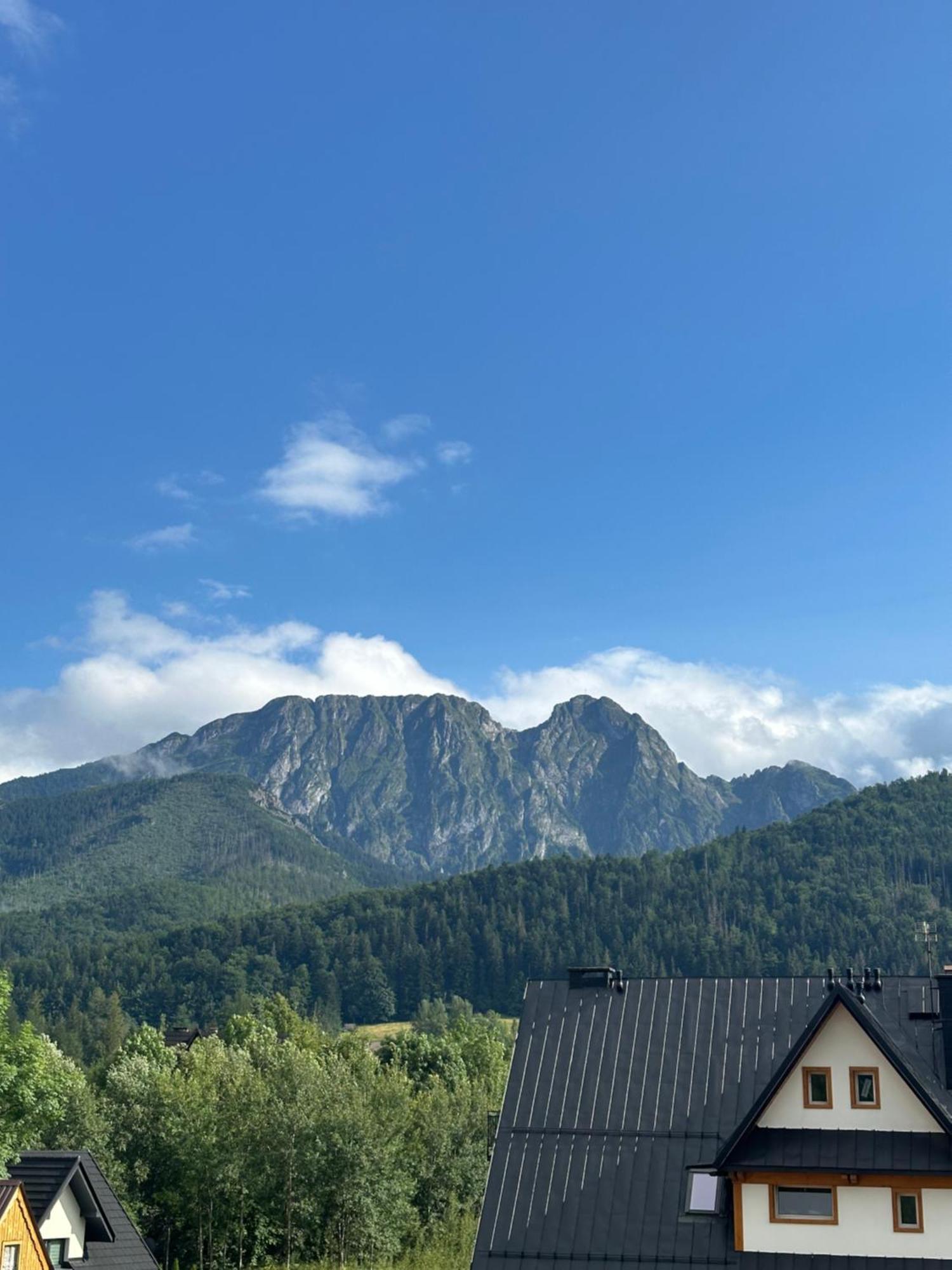 Willa Szafran Zakopane Bagian luar foto