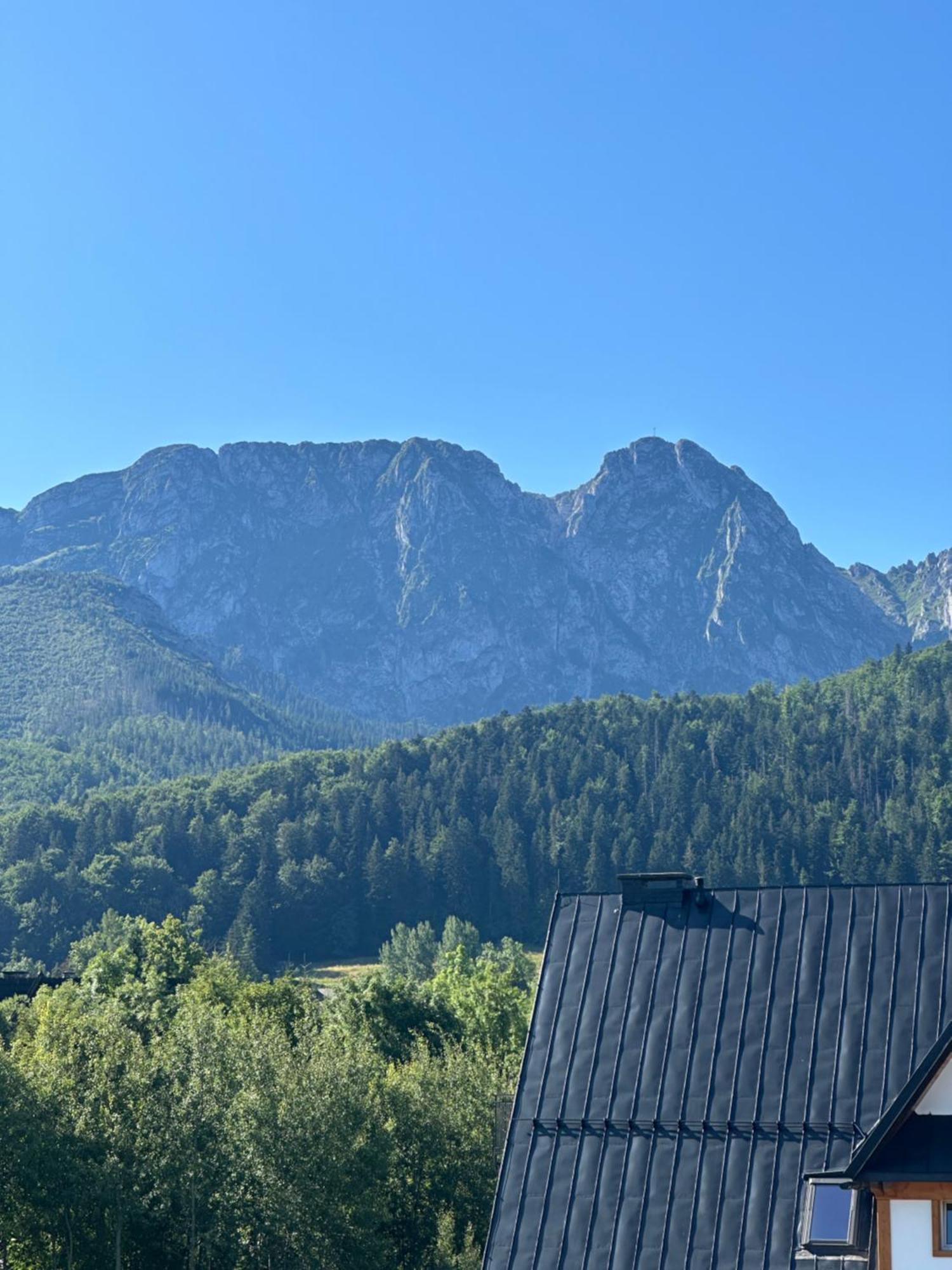 Willa Szafran Zakopane Bagian luar foto
